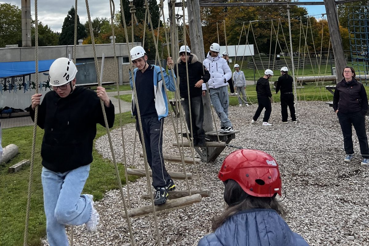 Schüler klettern auf einem Niedrigseilparcours